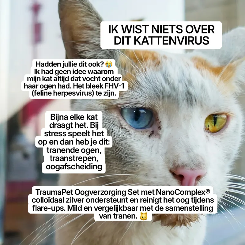 Ad creative · NL
